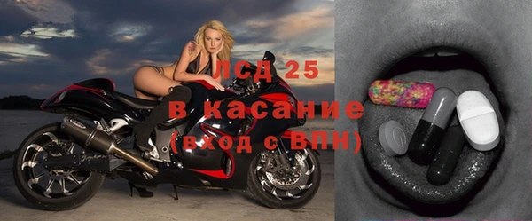 прущие грибы Вяземский