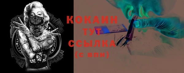 прущие грибы Вяземский