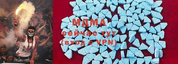 прущие грибы Вяземский