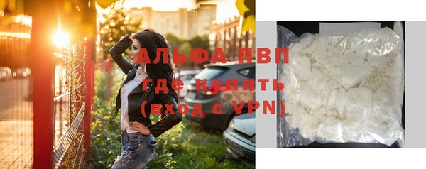 прущие грибы Вяземский