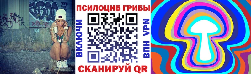 Псилоцибиновые грибы прущие грибы где продают наркотики Каневская